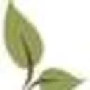 Charting Nature